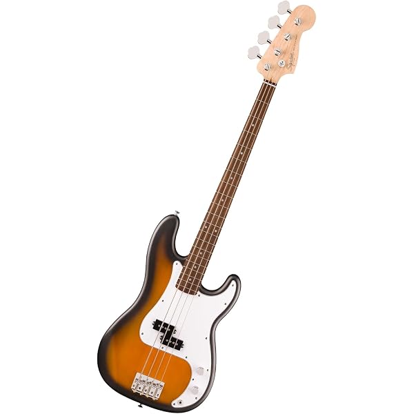 Amazon.co.jp: バッカス BACCHUS WJB-500R ASH STB エレキベース
